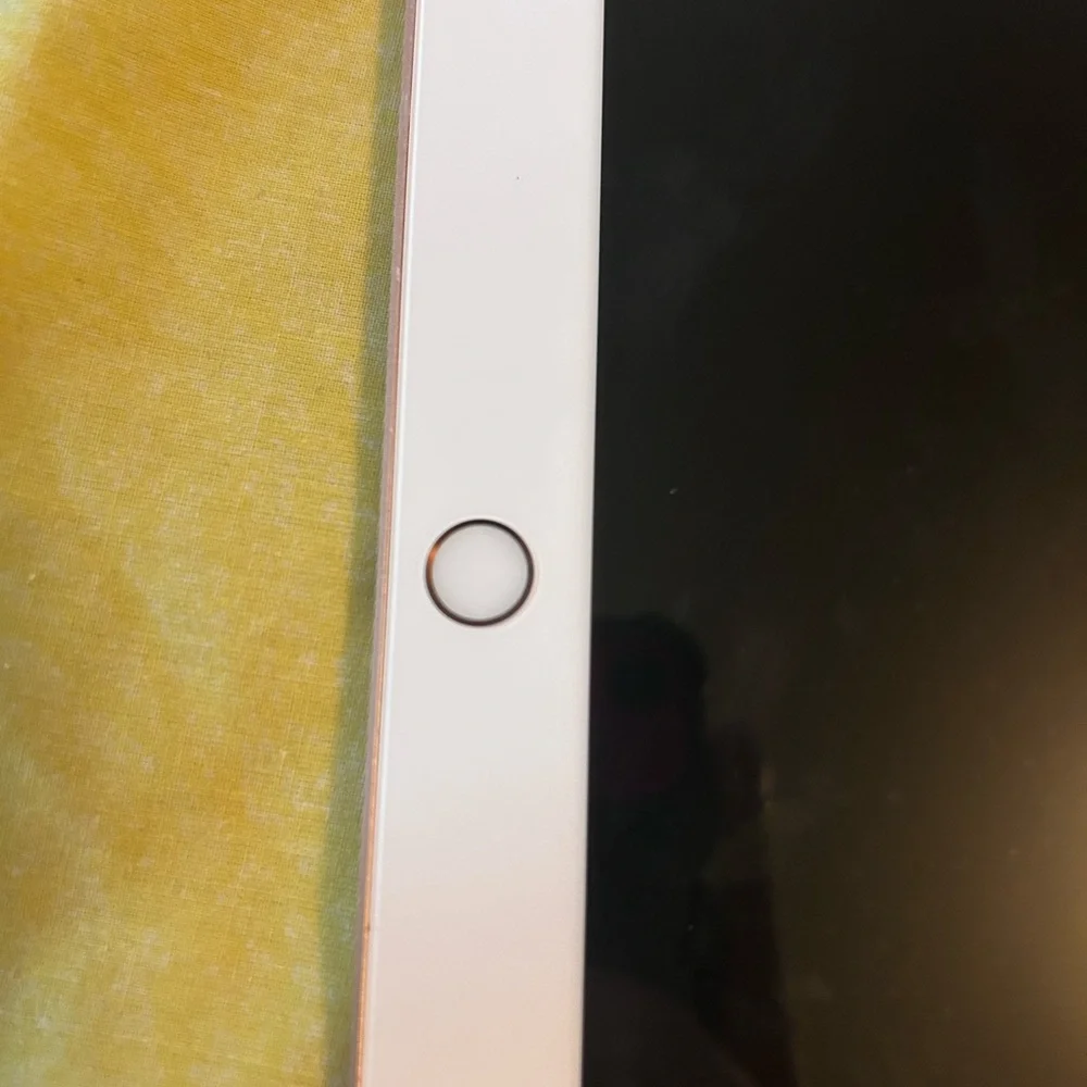 Apple iPad - Silver